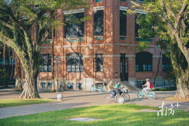 中山大學(xué)校園。梁晨 攝